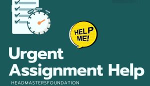 Need Help with Assignments? Turn to a Trusted Assignment Helper in Malaysia
