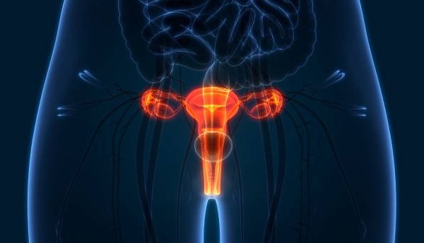 The Unsung Hero of Healthcare Spotlight on Urology